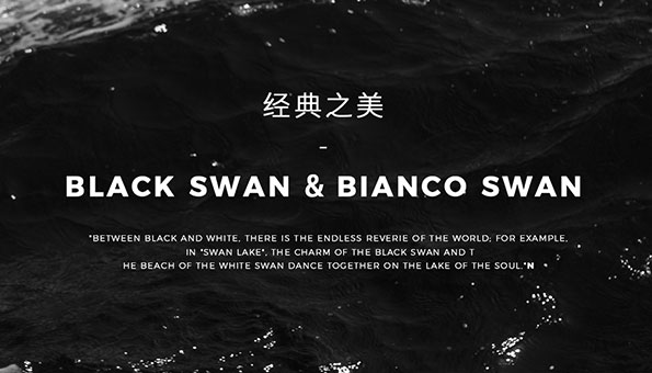 一黑一白，雙生靈魂，各自綻放，又相互輝映