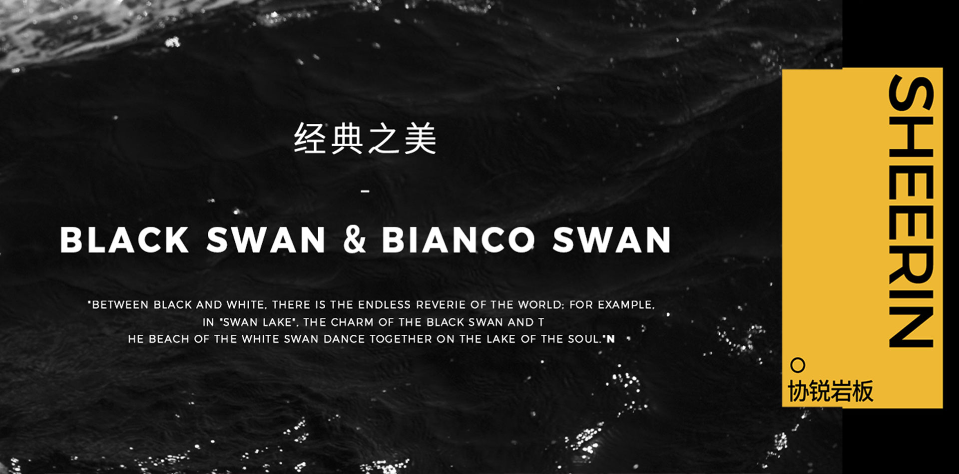 一黑一白，雙生靈魂，各自綻放，又相互輝映